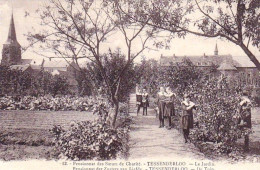 TESSENDERLO  - TESSENDERLOO  - Pensionnat Des Soeurs De Charité  - Le Jardin - Tessenderlo