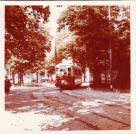 Photo Originale - 21 - DIJON -  Tramway Ligne 1/6-  Sortie  Du Parc   - 1960 - Places