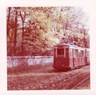 Photo Originale - 21 - DIJON - Ligne Tramway1/ 6 - Allée Du Parc - 11/1961 - Plaatsen