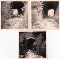 Photo Originale - Ancienne Ligne Tramway GEVREY CHAMBERTIN -  Tunnel Combe Grisat Desafecté - Lot 3 Photos - Lieux