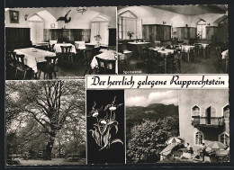 AK Etzelwang /Opf., Gasthaus Burg Rupprechtstein, Innenansichten Speisesaal Und Frühstückszimmer  - Autres & Non Classés