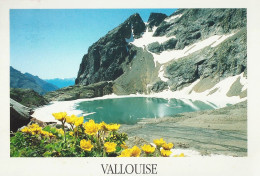 *CPM - 05 - VALLOUISE - Lac De L'Eychauda - Autres & Non Classés