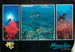 Mauritius Ile Paysages Sous-marines Multi View - Mauritius