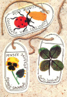 Ladybug, Lucky Charm And Flower Art Collage - Sonstige & Ohne Zuordnung