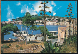 °°° 31167 - CROAZIA - MALI LOSINJ - 1981 With Stamps °°° - Croatie