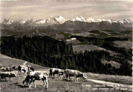 Lüdernalp Mit Aussicht Auf Die Alpen (9445) * 16. 10. 1965 - Sumiswald