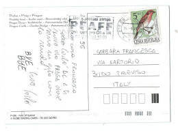 Repubblica Ceca, Czech Rep. 1995; Pettirosso; Storia Postale Per L' Italia; Praga In Cartolina, Viaggiata + Targhetta - Sparrows