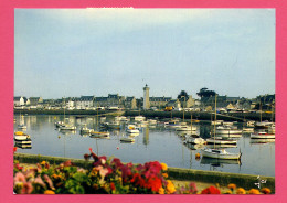 ROSCOFF (Finistère) - Vue Générale Sur Le Fond Du Port - Roscoff