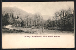 AK Durbuy, Promenade De La Petite Somme  - Durbuy