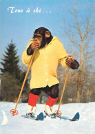 Monkey On The Ski Funny Animals Postcard - Geklede Dieren