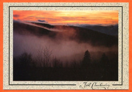 88 Ambiance Du Massif Vosgien Dernieres Lueurs Coucher Soleil Carte Vierge TBE - Altri & Non Classificati