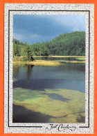 88 Ambiance Du Massif Vosgien Taches De Lumiere Paysage Vue Carte Vierge TBE - Altri & Non Classificati