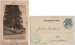 1901 Waidhofen A D Ybbs > Wien 1/1  BESTELLT Blauer Automatenstempel - Waidhofen An Der Ybbs