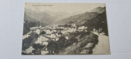 RECOARO PANORAMA  1920 ANIMATA - Vicenza