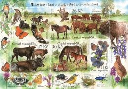 A 1126 - 9 Czech Republic Milovice 2021 Horse Bison Wisent Bos Primigenius - Schmetterlinge