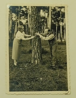 Around The Tree-Strausberg, Germany 1937. - Personnes Anonymes