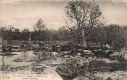 FRANCE - Forêt De Fontainebleau - Les Mares Du Plateau De Belle Croix - Cuvier Châtillon - Carte Postale Ancienne - Fontainebleau