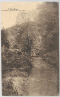 CPA CARTE POSTALE BELGIQUE PETIT-FAYS LE GOUFFRE ET LE PONT DES DEUX-EAUX 1925 - Autres & Non Classés