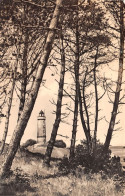 Hiddensee Leuchtturm Dornbusch Ngl #169.759 - Other & Unclassified
