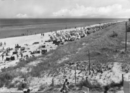 Ostseebad Prerow (Darß) Strand Glca.1970 #169.789 - Sonstige & Ohne Zuordnung