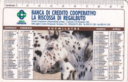 Calendarietto - Banca Di Credito Cooperativo La Riscossa Di Regalbuto - Enna - Anno 2003 - Tamaño Pequeño : 2001-...