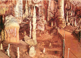 Spéléologie - Slovénie - Slovenia - Postojnska Jama - Grotte - Potholing - Cave - CPM - Carte Neuve - Voir Scans Recto-V - Sonstige & Ohne Zuordnung