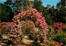 94 - L'Hay Les Roses - La Roseraie - Fleurs - Flamme Postale De L'Hay Les Roses - CPM - Voir Scans Recto-Verso - L'Hay Les Roses