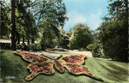 76 - Rouen - Le Papillon Du Jardin Des Plantes - Carte Neuve - CPM - Voir Scans Recto-Verso - Rouen