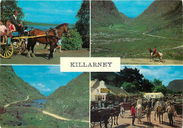 Irlande - Kerry - Killarney - Multivues - Chevaux - Ireland - CPM - Voir Scans Recto-Verso - Kerry