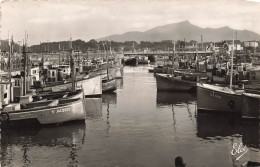 FRANCE - Saint Jean De Luz - Le Port Et Au Fond La Rhûne - Carte Postale - Saint Jean De Luz