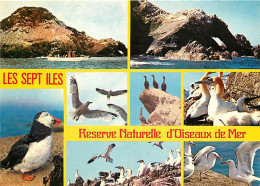 22 - Les Sept Iles - Réserve Naturelle D'Oiseaux De Mer - Multivues - Macareux Moines - CPM - Voir Scans Recto-Verso - Autres & Non Classés
