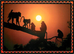 Animaux - Singes - Coucher De Soleil - Collection Safaricard - Carte Neuve - CPM - Voir Scans Recto-Verso - Affen