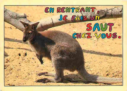 Animaux - Kangourous - CPM - Voir Scans Recto-Verso - Autres & Non Classés