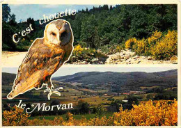 Animaux - Oiseaux - Chouette - Le Morvan - CPM - Voir Scans Recto-Verso - Birds