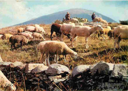 Animaux - Moutons - Paturages En Montagne - CPM - Voir Scans Recto-Verso - Autres & Non Classés