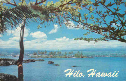 Etats Unis - Hawaii - CPM - Voir Scans Recto-Verso - Autres & Non Classés