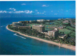 Etats Unis - Hawaii - CPM - Voir Scans Recto-Verso - Autres & Non Classés