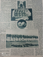 DOMENICA DELL'AGRICOLTORE 1940 MONTEMURLO FINALBORGO GALLIERA VENARIA REALE - Autres & Non Classés