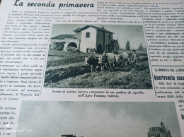DOMENICA DELL'AGRICOLTORE 1940 APRILIA TARVISIO IL CACIOCAVALLO - Otros & Sin Clasificación