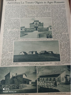 DOMENICA DELL'AGRICOLTORE 1940 LA TENUTA OLGIATA IN AGRO ROMANO LE MONDINE - Autres & Non Classés