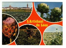 Carte Multivues - L'Artichaut Du Léon - Saint-Pol-de-Léon