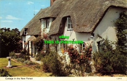 R569313 Cottage In New Forest. L. 3112. Dennis. 1973 - Welt