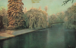 ROYAUME UNI - Angleterre - Cambridge - View From Clare College Bridge - Carte Postale Ancienne - Cambridge