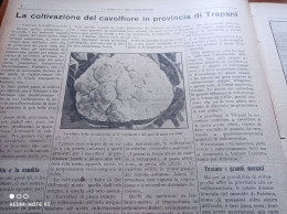 DOMENICA DELL’AGRICOLTORE 1927 PROVINCIA DI TRAPANI MASSALOMBARDA - Altri & Non Classificati