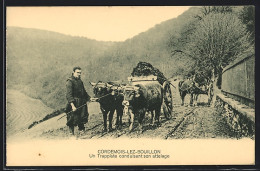 AK Cordemois-lez-Bouillon, Un Trappiste Conduisant Son Attelage  - Bouillon