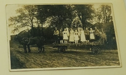 Germany-Girls And Guys In Decorated Carriages-Altenhagen (Celle)- Old Photo - Orte