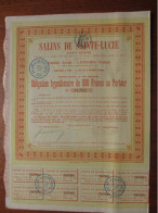 FRANCE - SALINES DE SAINTE LUCIE - OBLIGATION HYPOTHECAIRE DE 300 FRS - PARIS 1896 - Other & Unclassified