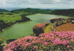 SÃO MIGUEL, Açores - Lagoa Das Furnas  (2 Scans) - Açores