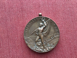 SUISSE Superbe Médaille Signée R.AMSLER 1897 Diamètre 35 Mm - Autres & Non Classés