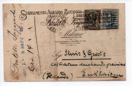 Italia 1921 Stabilimento Agrario Botanico Fratelli Ingegnoli Orticoltura Cartolina Commerciale Milano 2 Scan - Poststempel